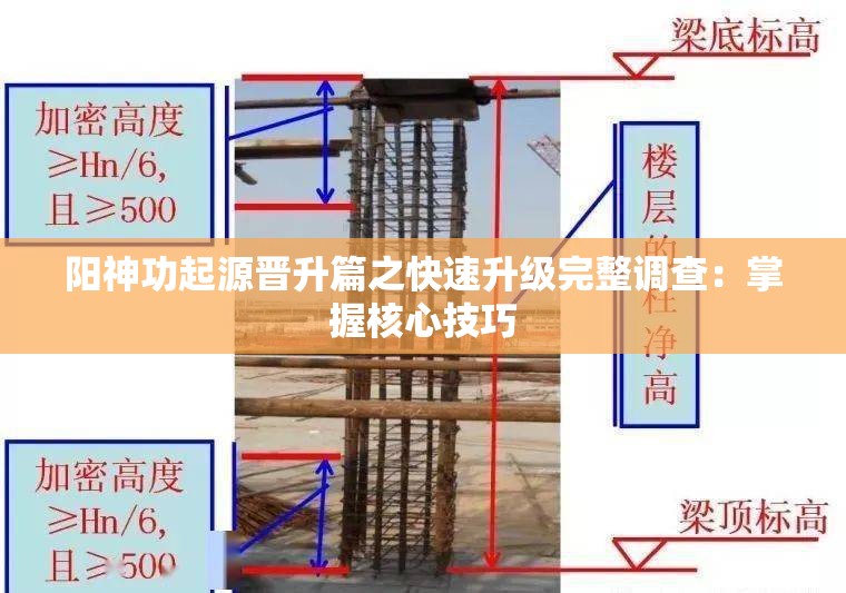 阳神功起源晋升篇之快速升级完整调查：掌握核心技巧