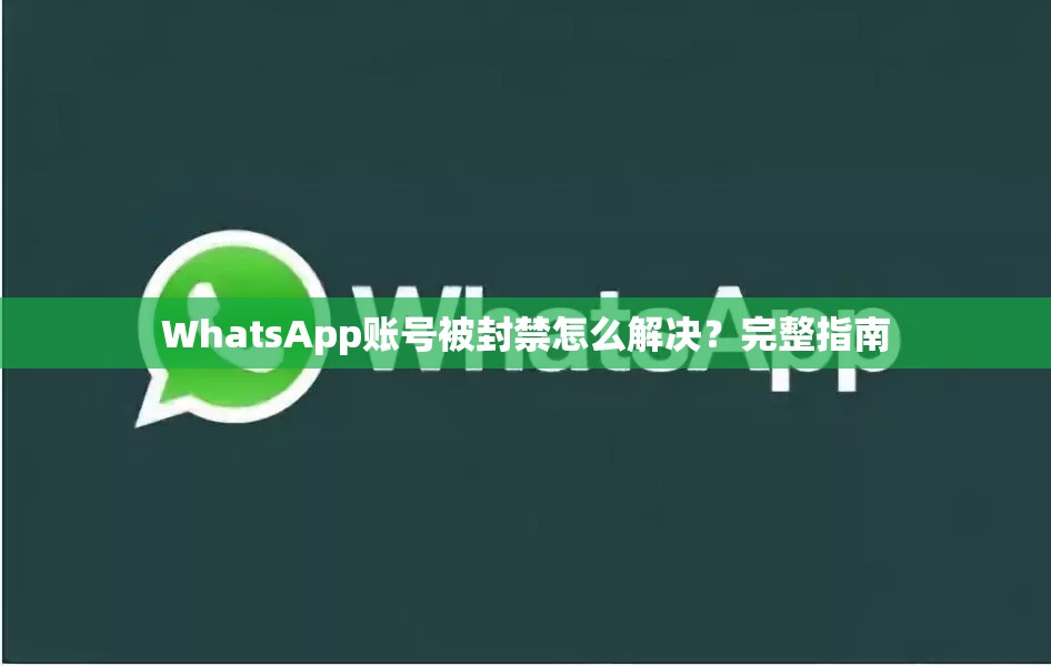 WhatsApp账号被封禁怎么解决？完整指南