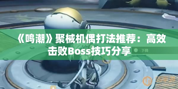 《鸣潮》聚械机偶打法推荐：高效击败Boss技巧分享